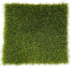 Patch ForeverLawn LandScapes Renew Glade