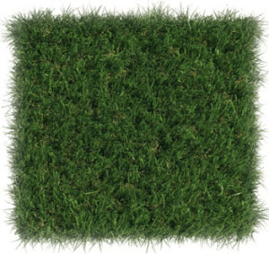 Patch ForeverLawn LandScapes Select VR