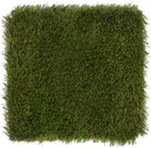 Patch ForeverLawn Playground Grass Apex