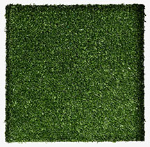 Patch ForeverLawn Playground Grass Explore