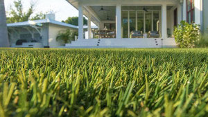 Artificial Grass ForeverLawn LandScapes Select Card